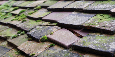Chalkshire roof repair costs